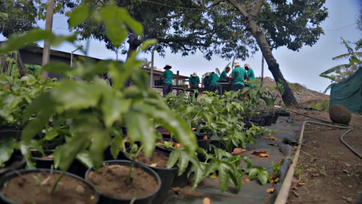 Agriculture, réinsertion, La Réunion