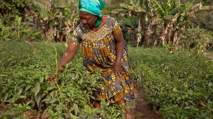 Améliorer la compétitivité des exploitations familiales agropastorales, femme, agriculture, Cameroun