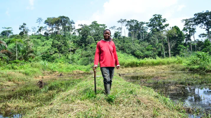 Favoriser les investissements productifs de la diaspora camerounaise