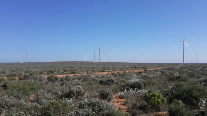 efficacité énergétique, Afrique du sud