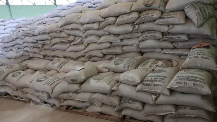 sacs, nourriture, réserve d'urgence, sécurité alimentaire