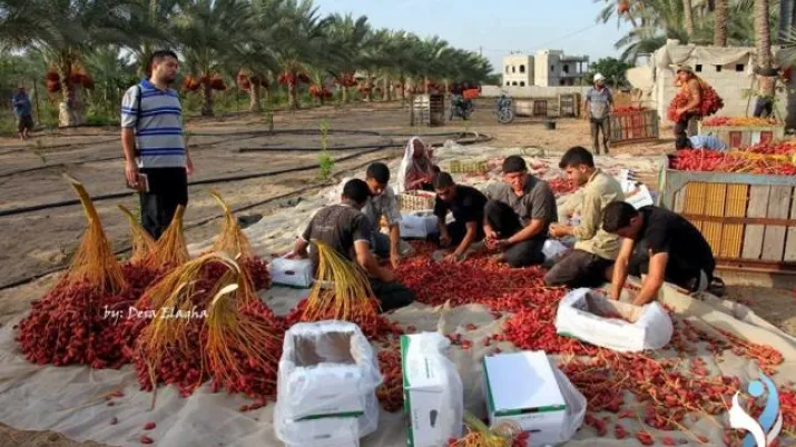 Renforcement de la compétitivité du secteur privé via la structuration des filières