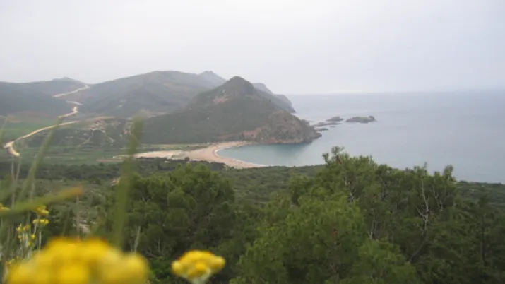 Appui au développement du Commissariat national du littoral - Image -