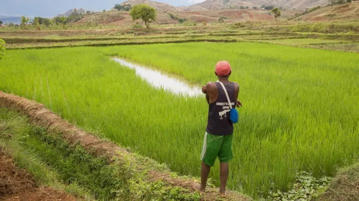 Améliorer la sécurité foncière des producteurs et agriculteurs de Madagascar