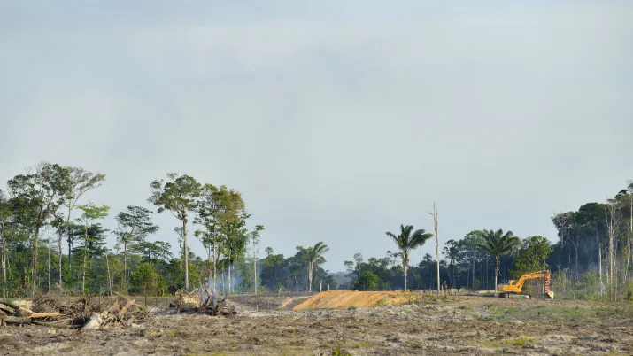 Contribuer au développement de la commune de Macouria