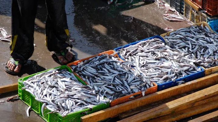 Soutenir la pêche artisanale