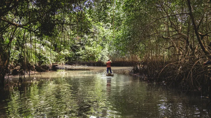 Lutte contre la déforestation grâce à la surveillance de l’environnement assistée par satellite
