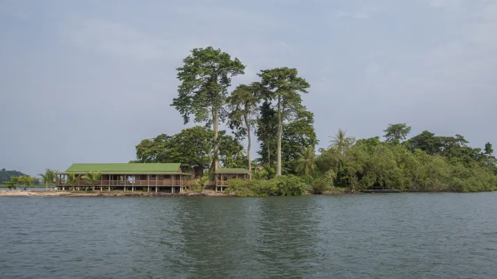 Préserver les écosystèmes et assurer un développement durable autour de Libreville