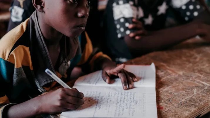 Lutter contre l'exclusion des jeunes dans la région de Diffa, Niger
