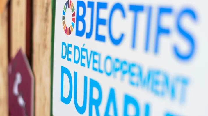 Objectifs de développement durable (ODD)