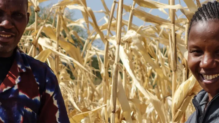 Les OPA, levier de développement des économies rurales - TransFert 2