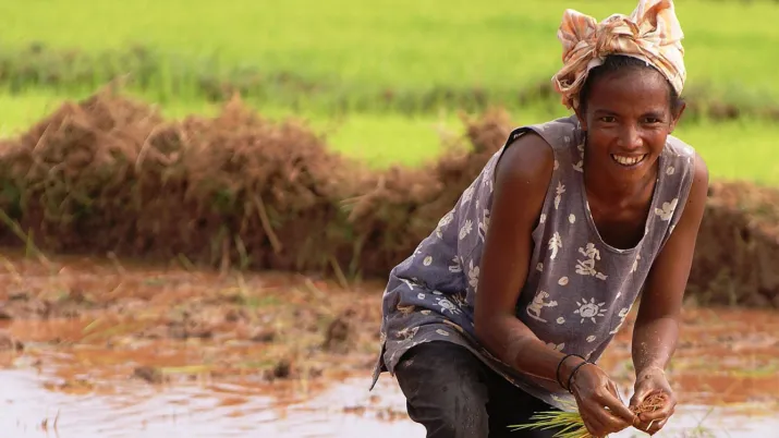 Partenariat entre organisations paysannes africaines et françaises 