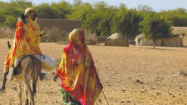 Appuyer la société civile pour lutter contre la désertification au Sahel