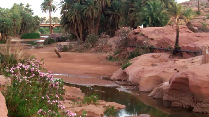 Protection et suivi des zones humides dans le sud et l’est de la Méditerranée