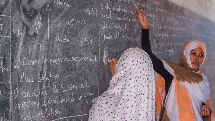 Appuyer le programme national de développement du secteur éducatif, Mauritanie