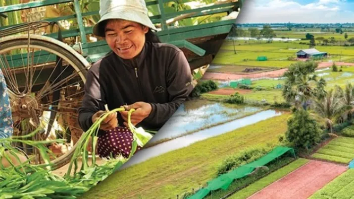 Intensification agro-écologique et diversification de l’agriculture