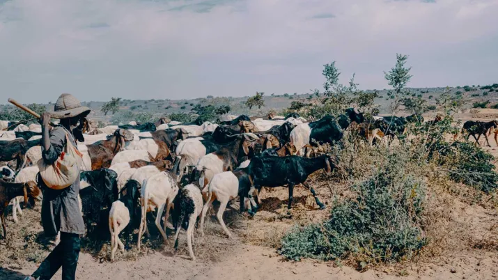 – La Facilité Adapt’Action, un outil innovant et agile « 100% Accord de Paris sur le climat »