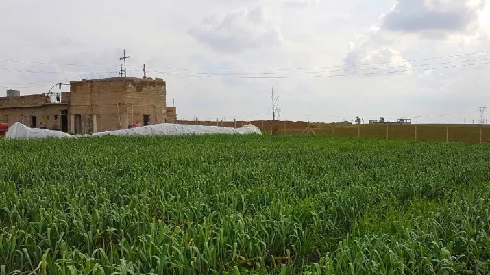 L'action de l'AFD en Irak