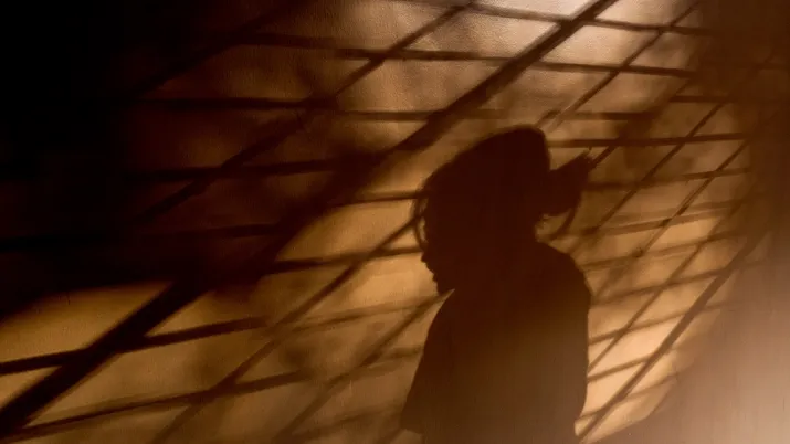 violences genre confinement afd