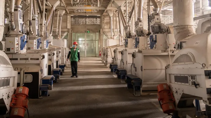 Usine de Golden Rice