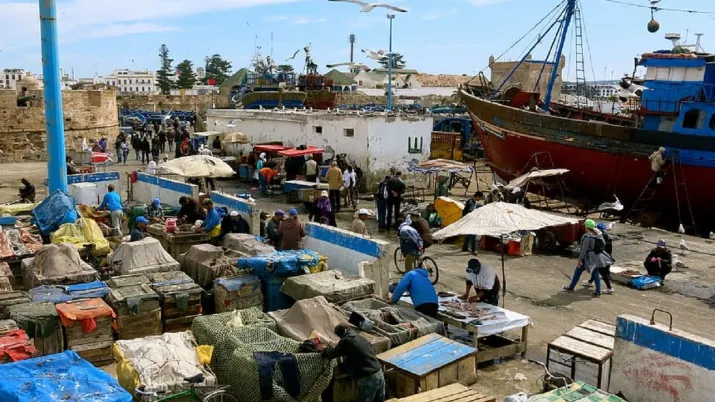 agriculture afrique afd