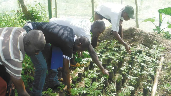 Des filières vertes pour la conservation de la biodiversité, ONG Man & Nature