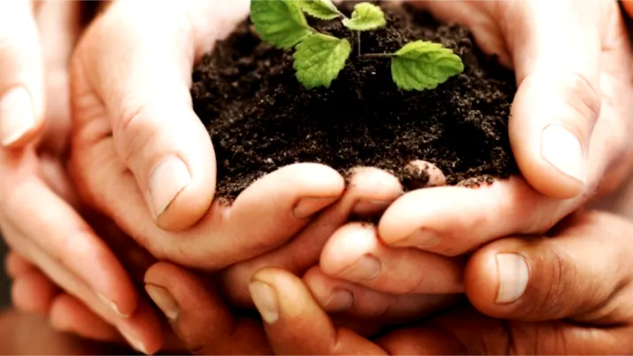 L’épargne solidaire au service de la solidarité internationale, ONG Finansol