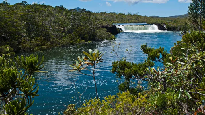 Résultats 2019 de l'AFD en Nouvelle-Calédonie