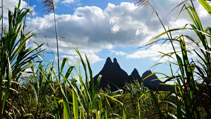ile Maurice AFD climat biodiversité écosystèmes restauration prairie montagne 