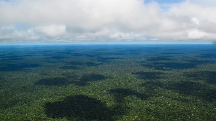 amazonie forêt amazonienne AFD