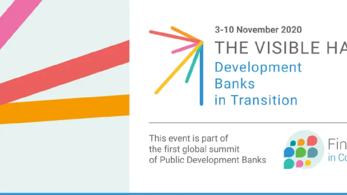 The Visible Hand: Development banks in Transition 