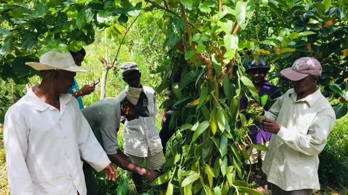 agriculture durable et conservation de la biodiversité au service des communautés locales 