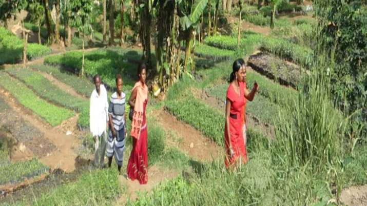 photo ong fondation terre solidaire