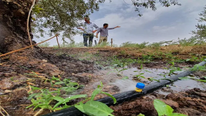 Smart desert project in Jordan