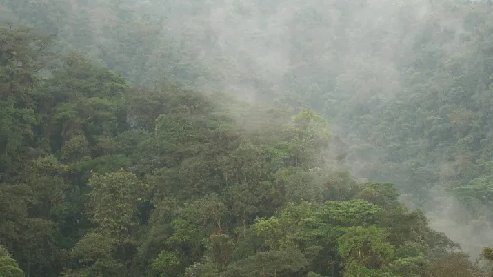 programme terramaz equateur