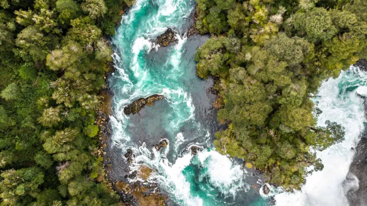 Webinar: How to finance life on Earth: a high-level discussion with experts in biodiversity finance 