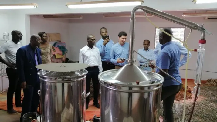 projet développer l'éducation, la formation et l'insertion des jeunes