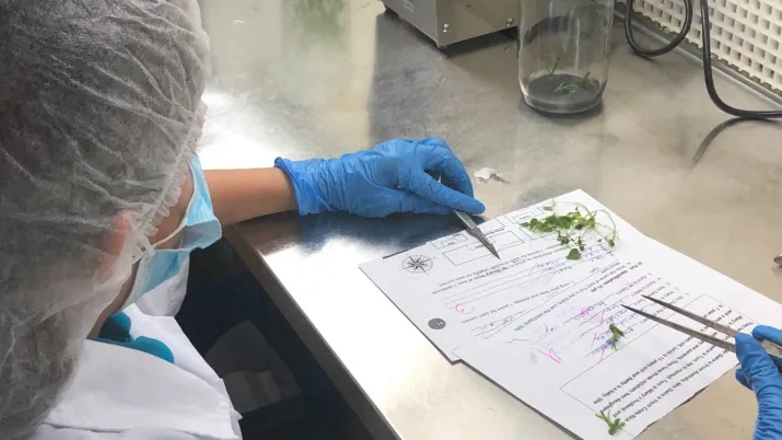 Projet rénovation des formations agricoles, rurales et environnmentales avec une approche genre