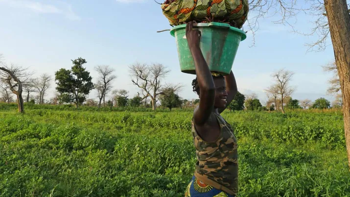 L’économie africaine en 2021 : résiliente et inspirante