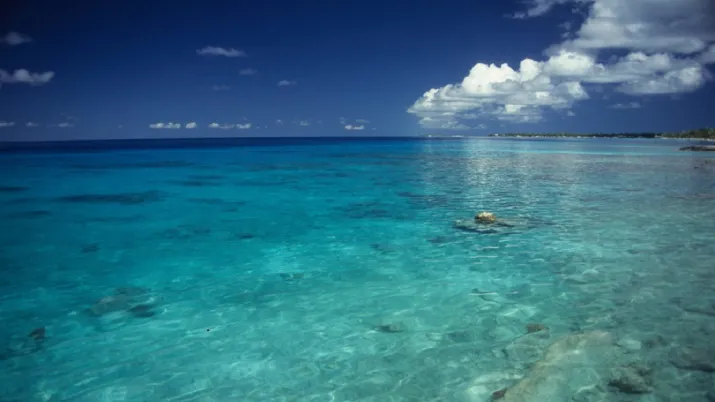biodiversité afd pacifique 
