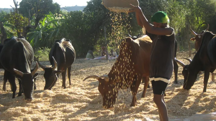 Appui à la consolidation et à l’autonomisation du réseau FAR