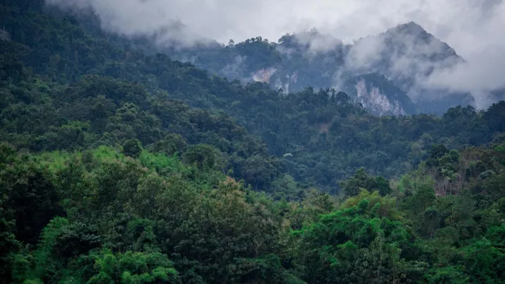 webinaire Inégalités et changements environnementaux dans la région du Mékong, AFD