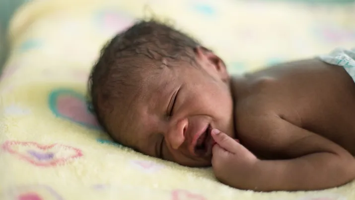 couveuse néonatale afd cameroun