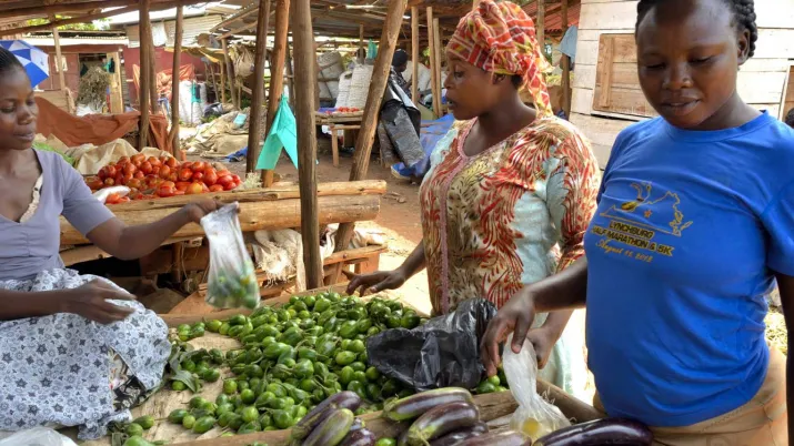 Webinaire AFD La soutenabilité de la dette en Afrique