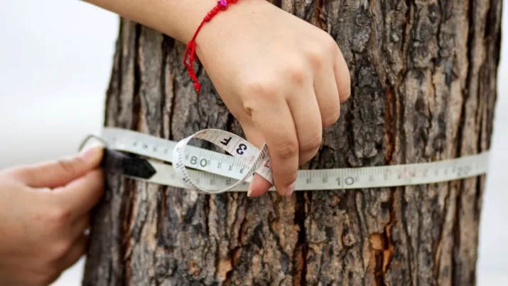 Le projet « LAIF VIL » en Équateur met l’accent sur la dimension ville en développant un programme d’assistance technique et d’études de faisabilité pour 11 municipalités