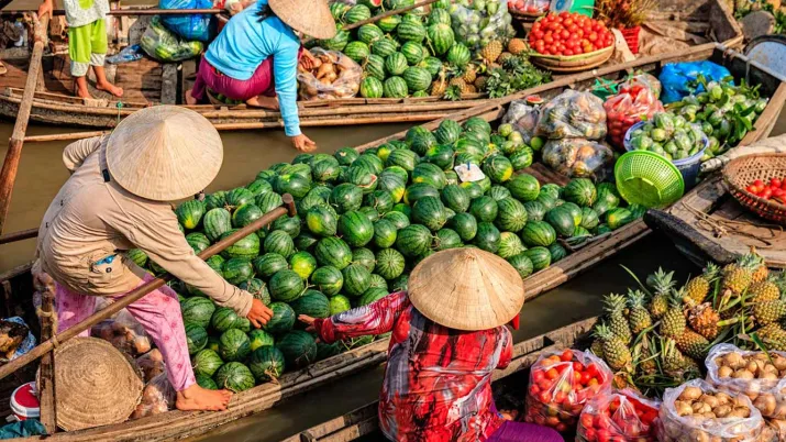 Rapport des évaluations genre