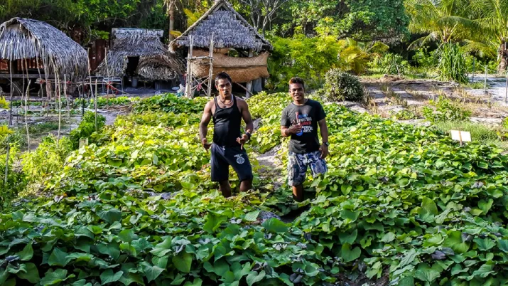 Kiwa Atoll ferme bio pedagogique