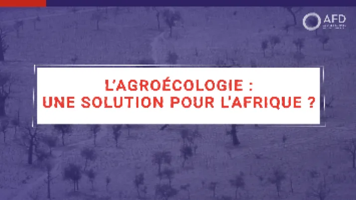 Une intensification agroécologique au Sahel est-elle possible ?