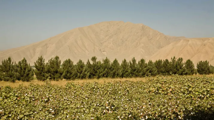 agriculture, Landscape, Afghanistan 