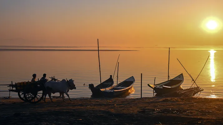 Birmanie, UICN, dauphins menacés